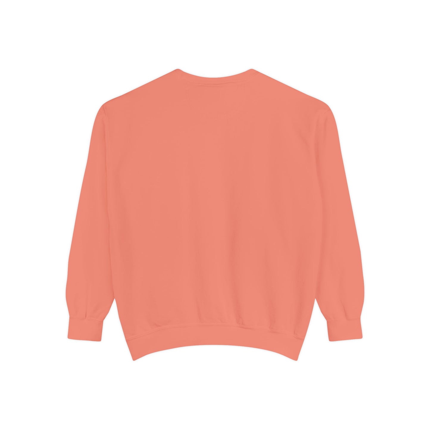 Men Garment-Dyed Printed Sweatshirt