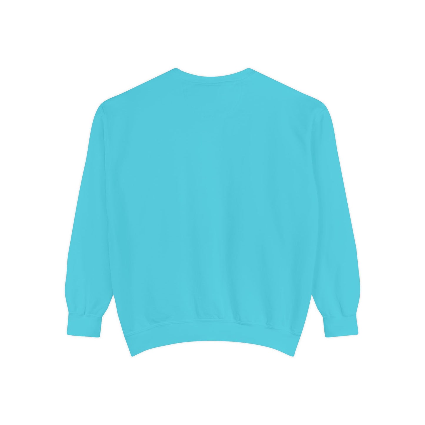 Men Garment-Dyed Printed Sweatshirt