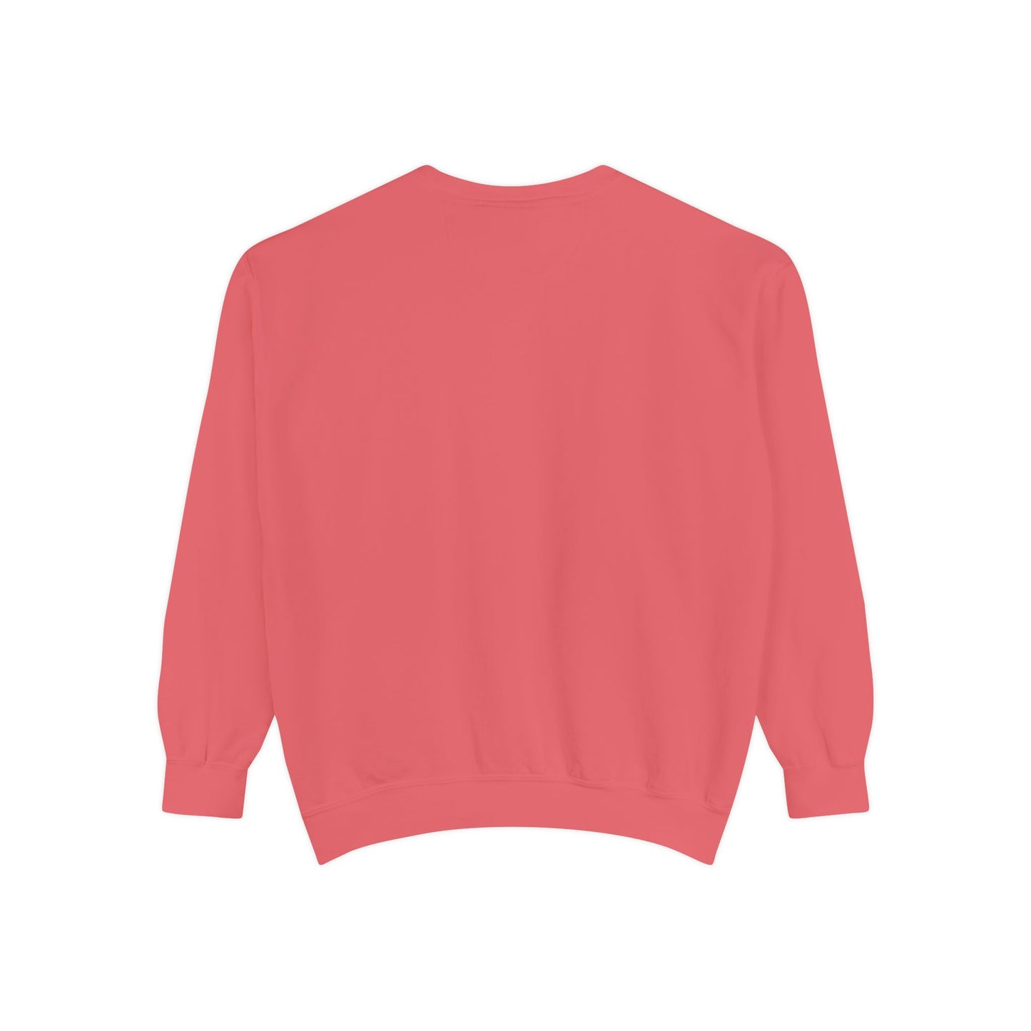Men Garment-Dyed Printed Sweatshirt