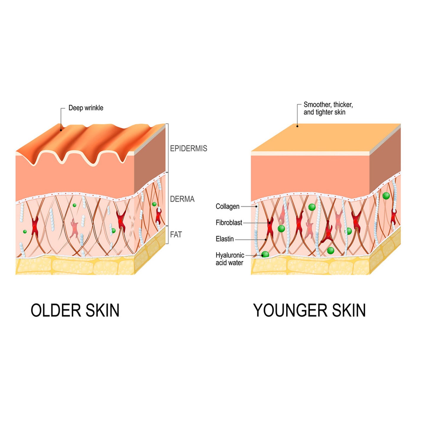 Anti-wrinkle  Fine Line-fading Lifting And Firming Skin Care - Kennedy Conglomerate Inc 