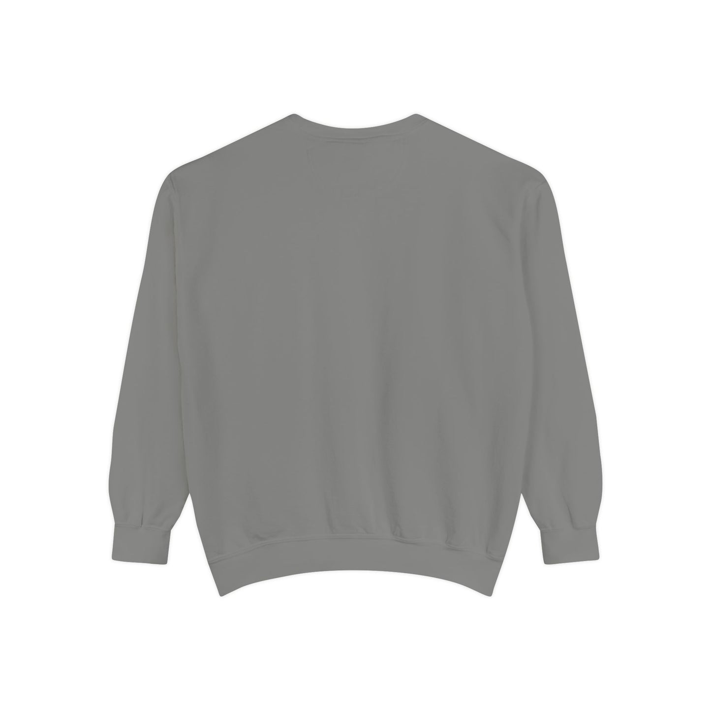 Men Garment-Dyed Printed Sweatshirt